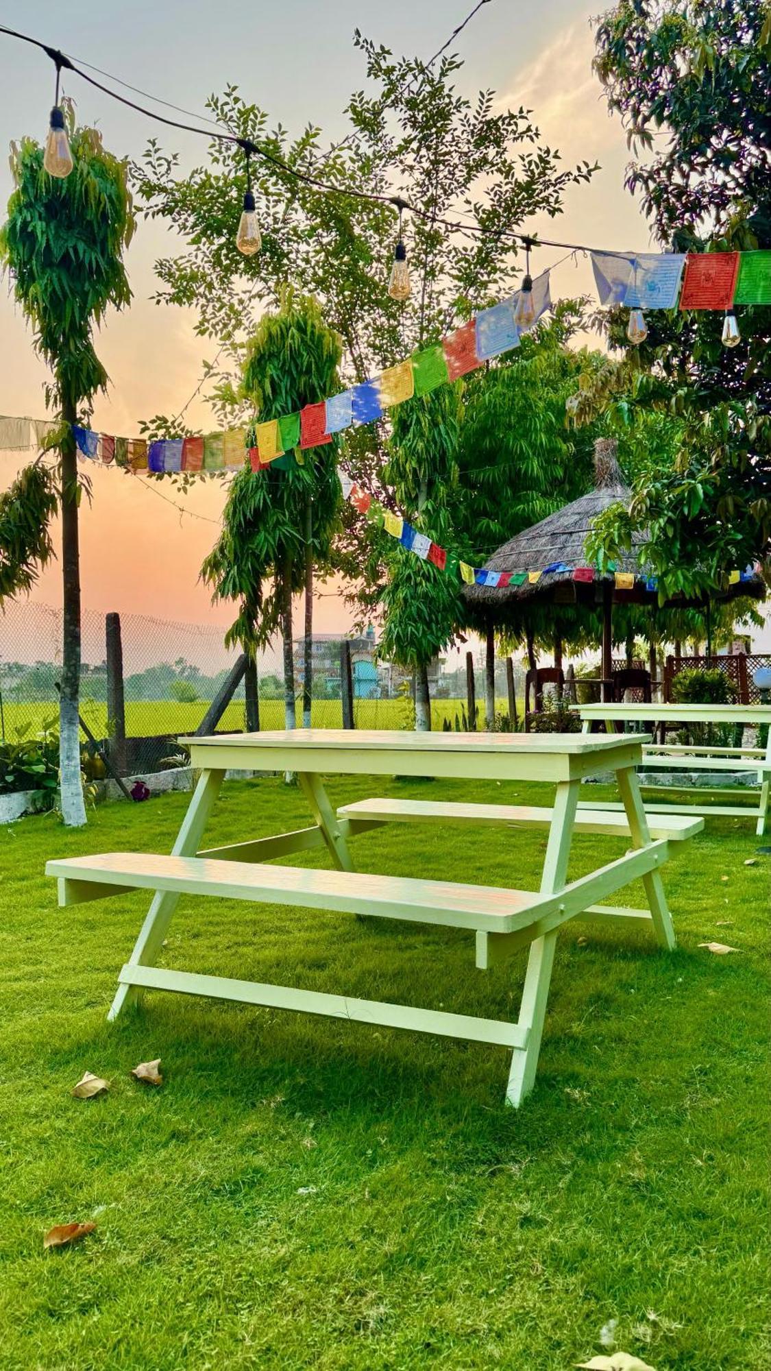 Hotel Tree Tops- A Serene Friendly Hotel In Sauraha Chitwan Eksteriør billede